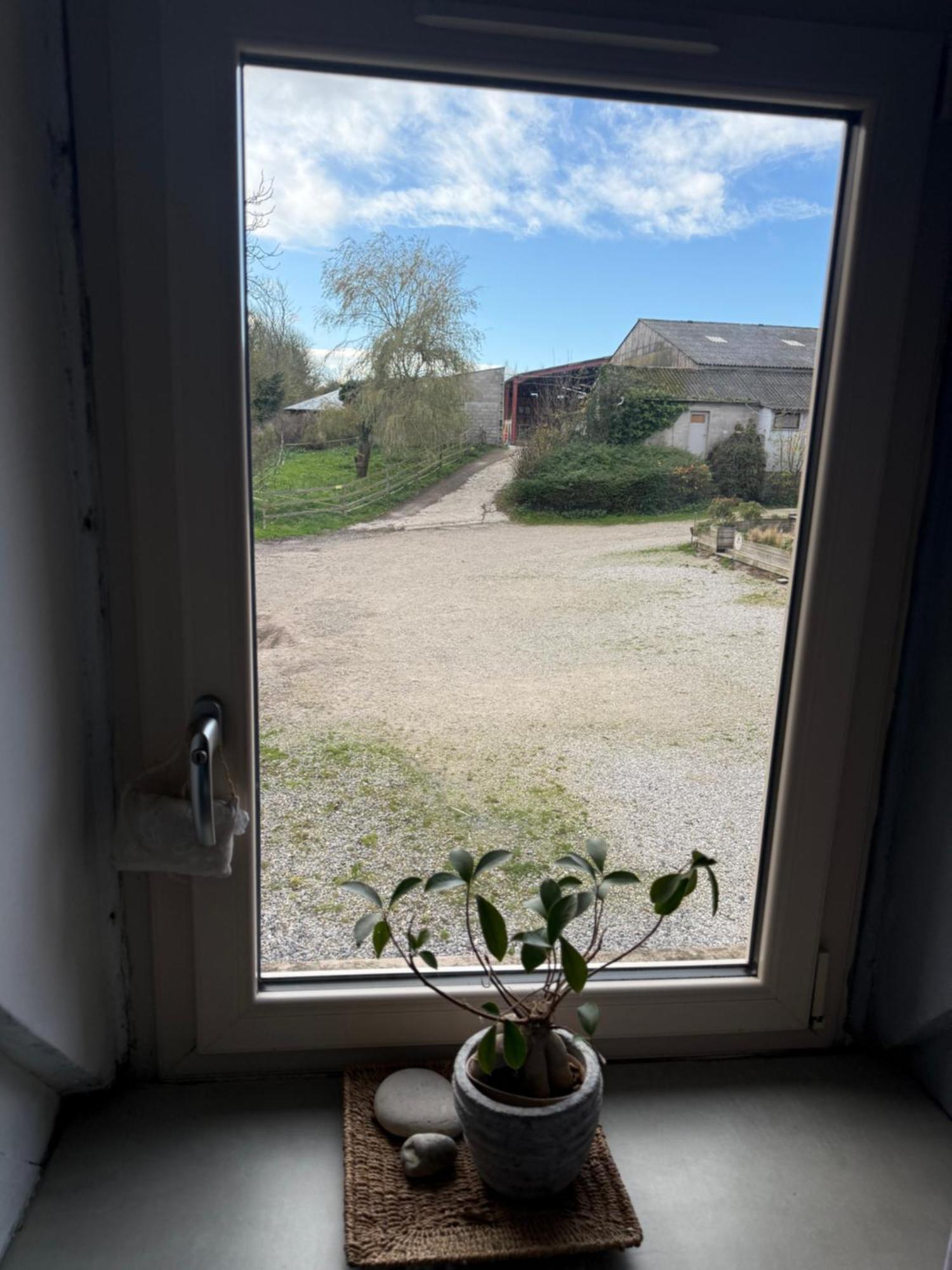 Gites De Warincthun Audinghen Esterno foto